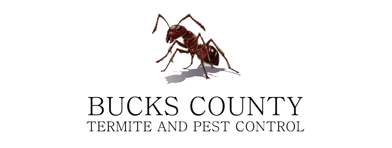 Bucks County Termite and Pest Control